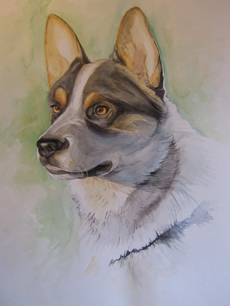 Ike - acquerello cm 50x70