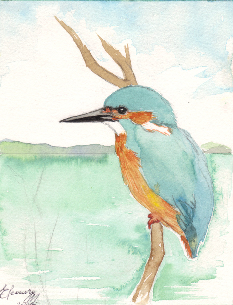 Martin pescatore - acquerello cm 12x18