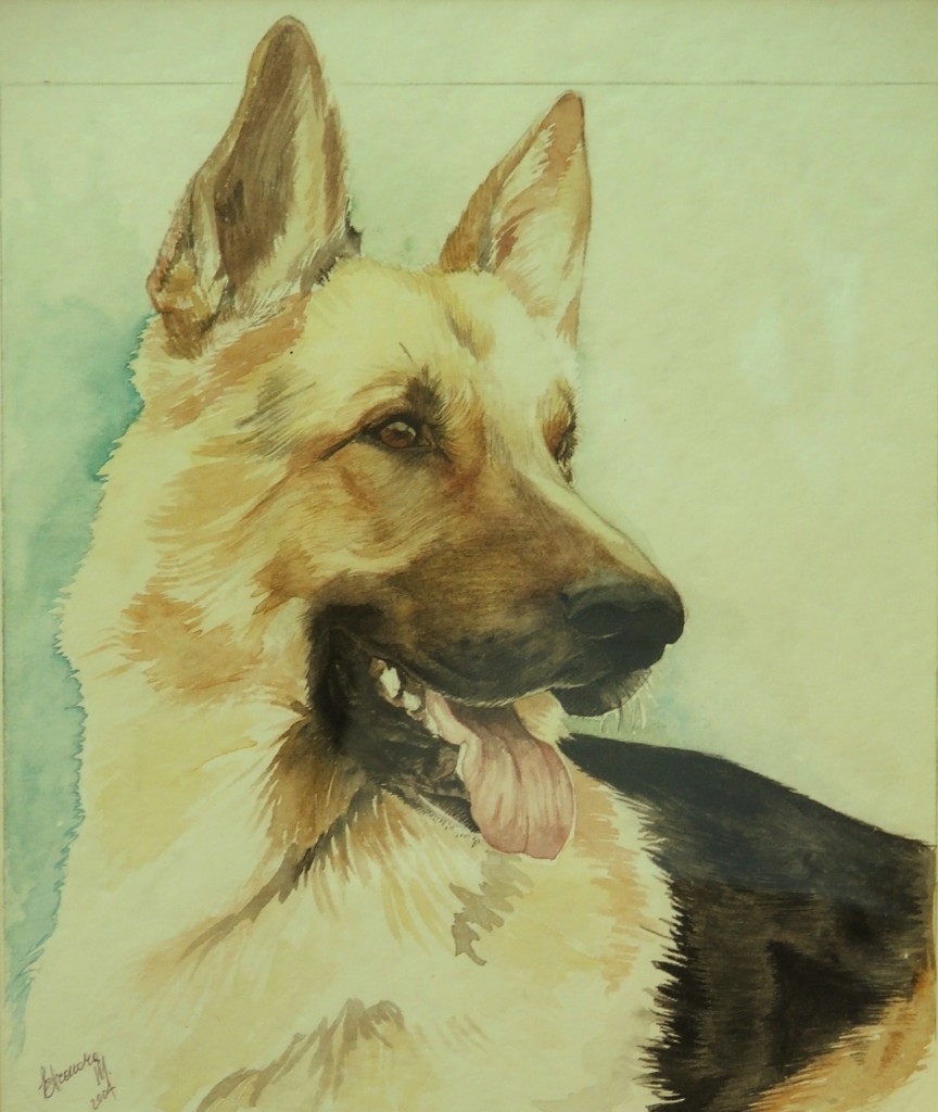 Pastore tedesco - acquerello cm 20x30