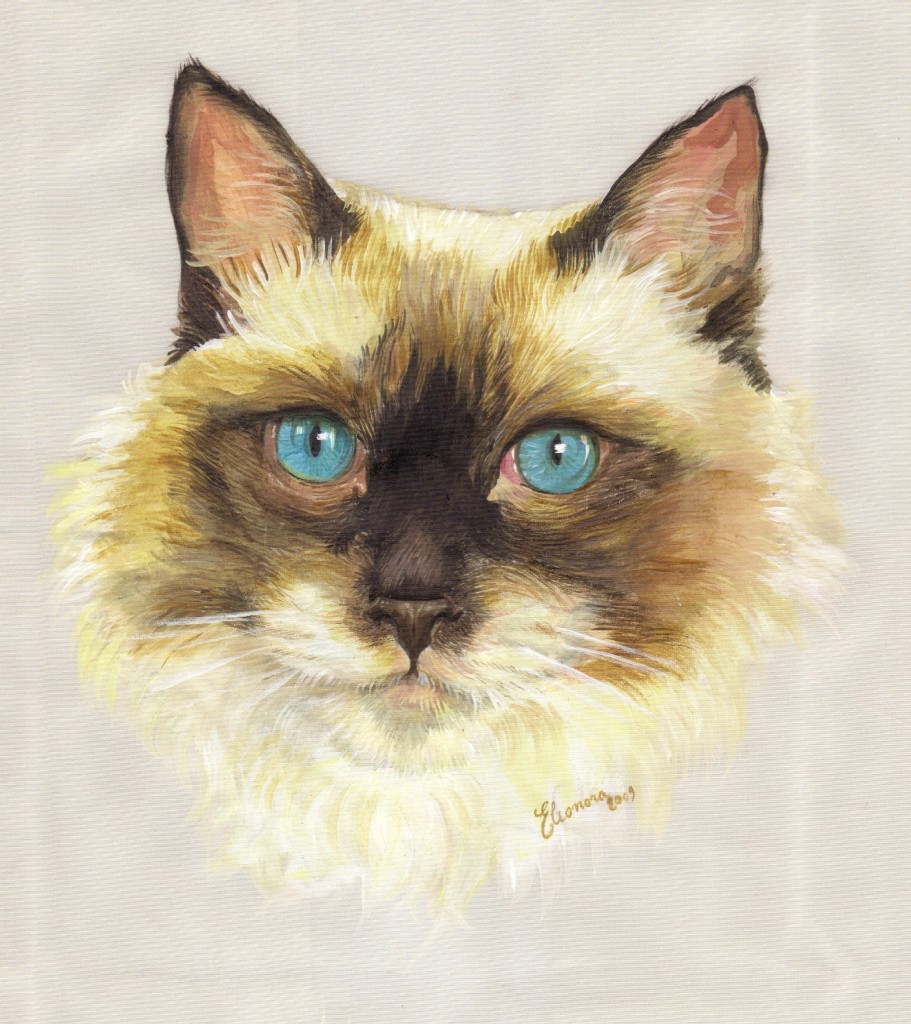 Sacro di birmania - acrilico su stoffa cm 30x30