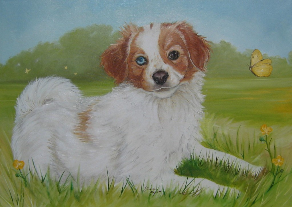 Virgola - olio su tela cm 40x50