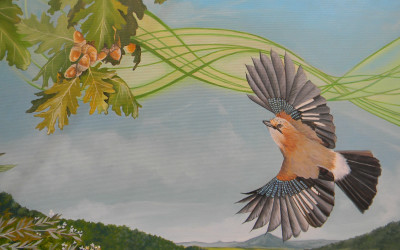 Maestosa Valle  particolare Ghiandaia