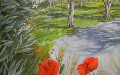 Maestosa Valle, particolare papaveri