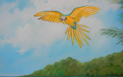 Raccogliendo conchiglie - particolare