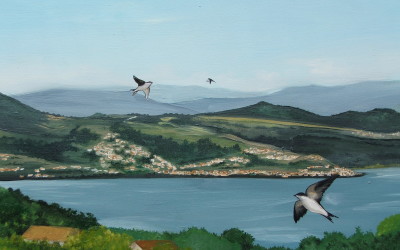 Villa Medici - particolare rondini